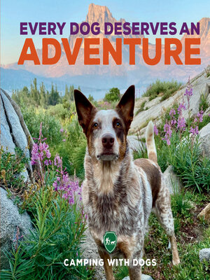cover image of Every Dog Deserves an Adventure